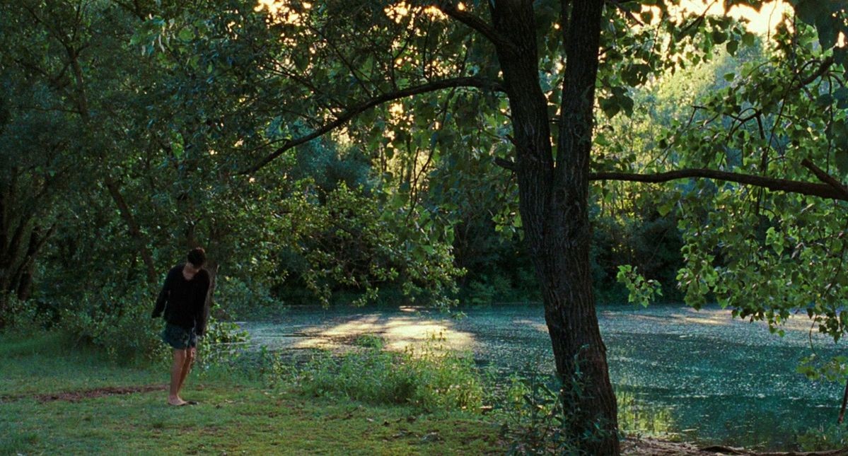 nature in call me by your name (2017)