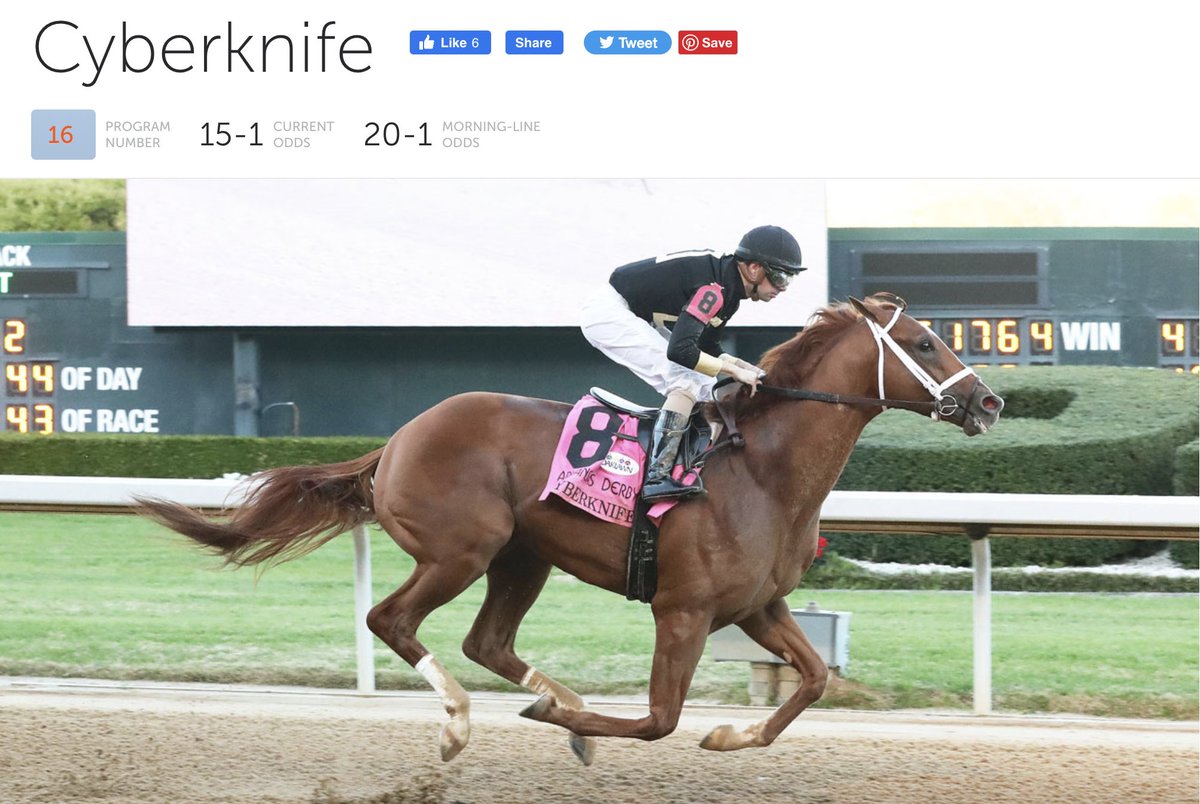 chrissanders88's tweet photo. I feel like this community needs to know that the Kentucky Derby is tomorrow because there's a horse running named CYBERKNIFE. https://t.co/q3PVbYwAAH