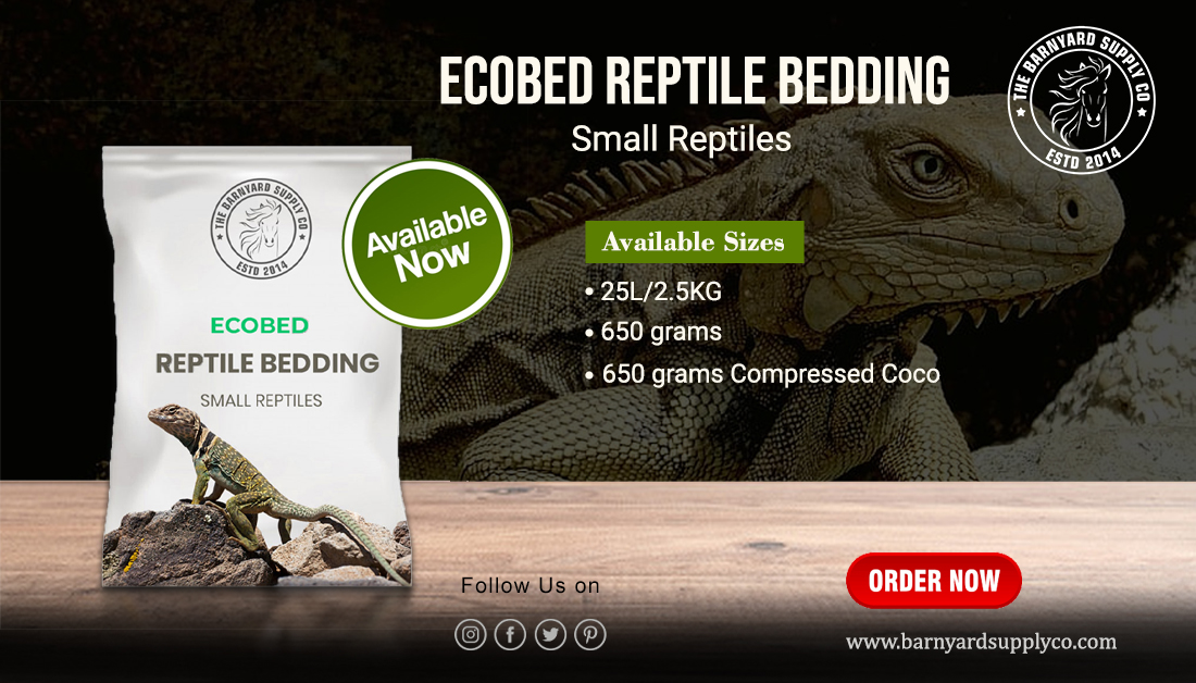 BarnyardSupply's tweet photo. This natural extract is completely devoid of toxins and are absolutely biodegradable.

Shop: https://t.co/mkuHiQ1T4x

 #exotics #reptilebedding #reptiles #petlovers #naturalbedding #beddingforexotics #reptilecare #longlasting #EcoBedReptilebedding #Thebarnyardsupplyco #California https://t.co/FAd3xKUxQq