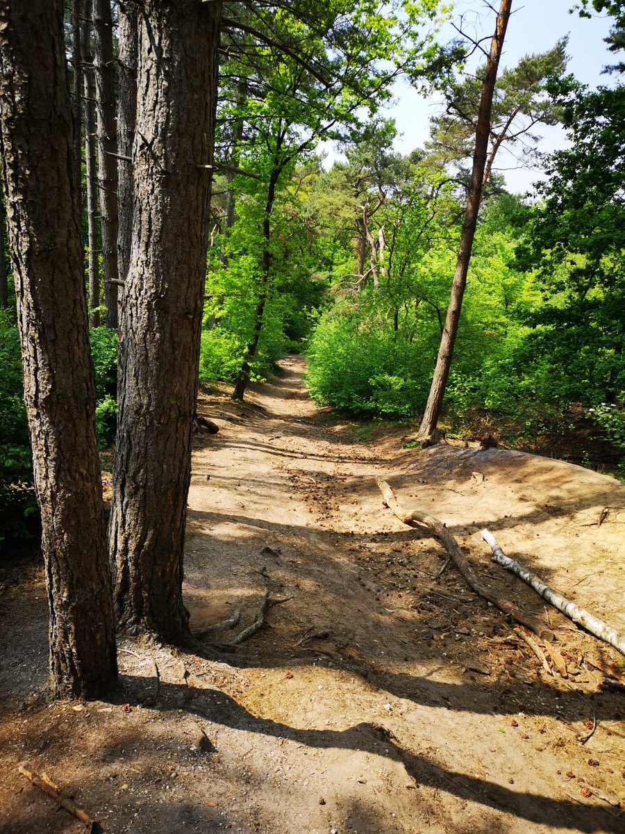 xperience_see's tweet photo. Wanderung auf den #Hinsbecker_Höhen und den tollen Weitblick vom Aussichtsturm #Taubenberg genießen. https://t.co/utjUeRG52z