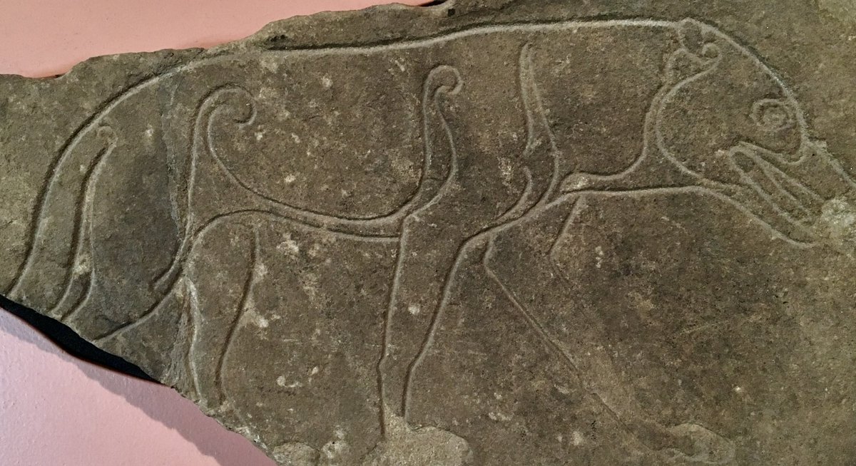 KPW1453's tweet photo. The ‘Ardross Wolf’ or ‘Wolf stone’- a Pictish carving dating to the C6th or C7th. The stone was found in a field dyke near to Ardross in Ross-shire, and is now part of the collections at Inverness Museum and Art Galley. #FindsFriday https://t.co/cUw2lDvLcB