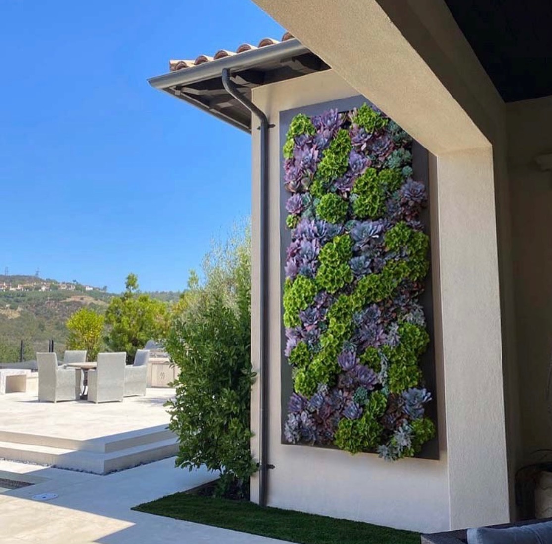 Vardening's tweet photo. Gardening season is in full swing but I sure do love the ornamental living walls that customers create with our Varden Vertical Garden system as well! #verticalgardens #vardenverticalgardens #elevationlivingwalls https://t.co/a58mYIme2d