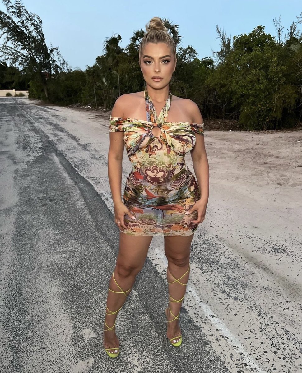 BebeRexha tweet picture