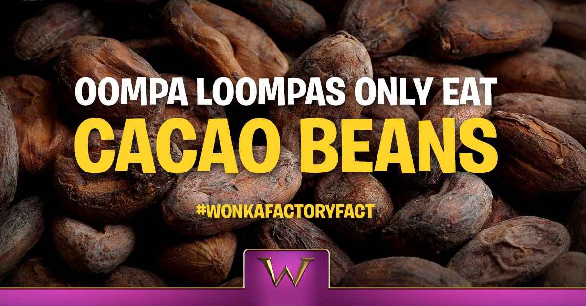 Marcus Performing Arts Center (@marcuscenter) on Twitter photo Did you know that Oompa Loompas only eat cacao beans? 🍫 This #WonkaFactoryFact will come in candy May 31-June 1 when <a href="/CharlieOnBway/">Charlie on Broadway</a> comes to Milwaukee as part of <a href="/JohnsonBank/">Johnson Financial Group</a> Broadway at the Marcus Center. 😉 Did you know that Oompa Loompas only eat cacao beans? 🍫 This #WonkaFactoryFact will come in candy May 31-June 1 when <a href="/CharlieOnBway/">Charlie on Broadway</a> comes to Milwaukee as part of <a href="/JohnsonBank/">Johnson Financial Group</a> Broadway at the Marcus Center. 😉