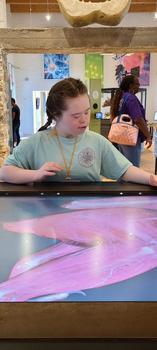 MfhsLife's tweet photo. Our trip to the Science Mill was so much fun! #mfhs #mfisd #sciencerocks https://t.co/4pOKDYgPHA