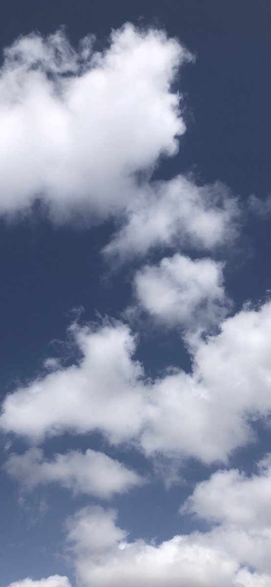 byingbstudio's tweet photo. immersed in a deep shade of blue
#mayclouds https://t.co/dALxgbQmAo