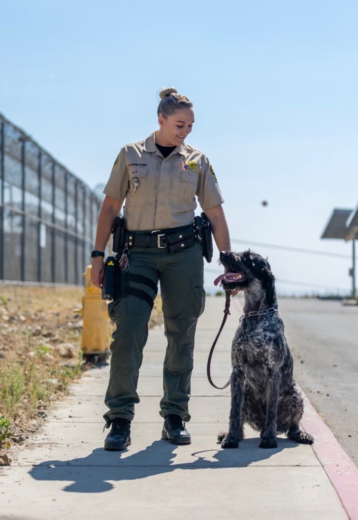 💛Friday with Friends💛
Meet four-year-old #K9Odin and his partner, Deputy Kohmetscher. Odin is a German Wirehaired Pointer. This fantastic duo workers out of East Mesa Detention Facility. Thank you corrections deputies for all you do! #NationalCorrectionalOfficersWeek