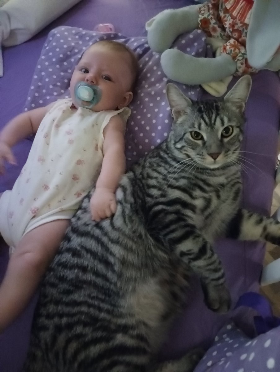 Наталья tweet media