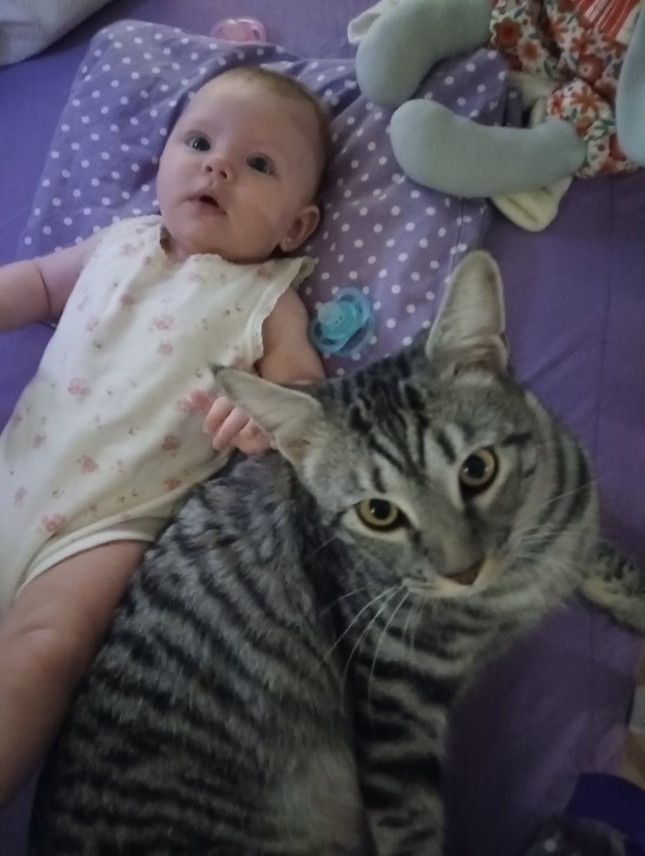 Наталья tweet media