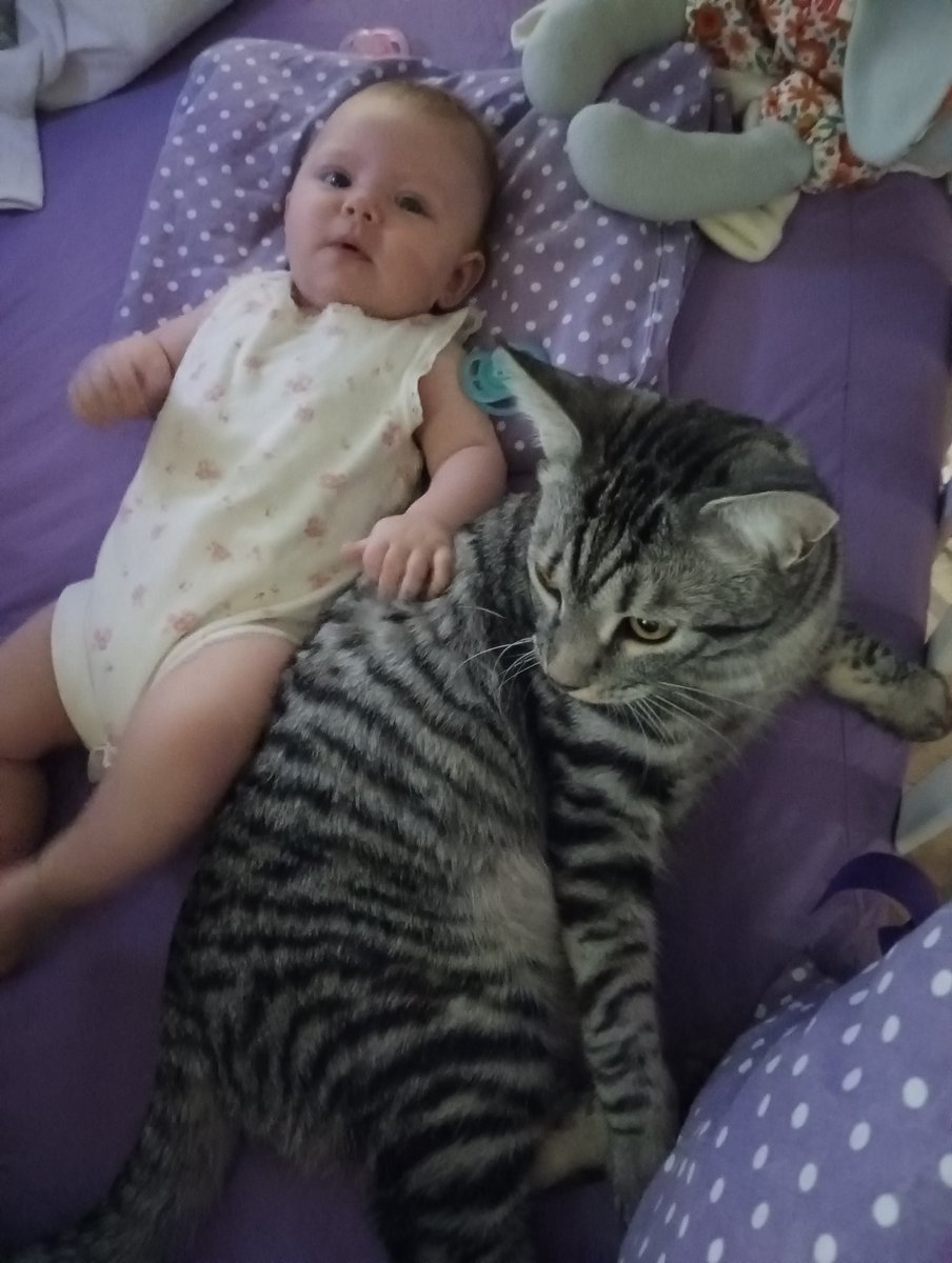 Наталья tweet media