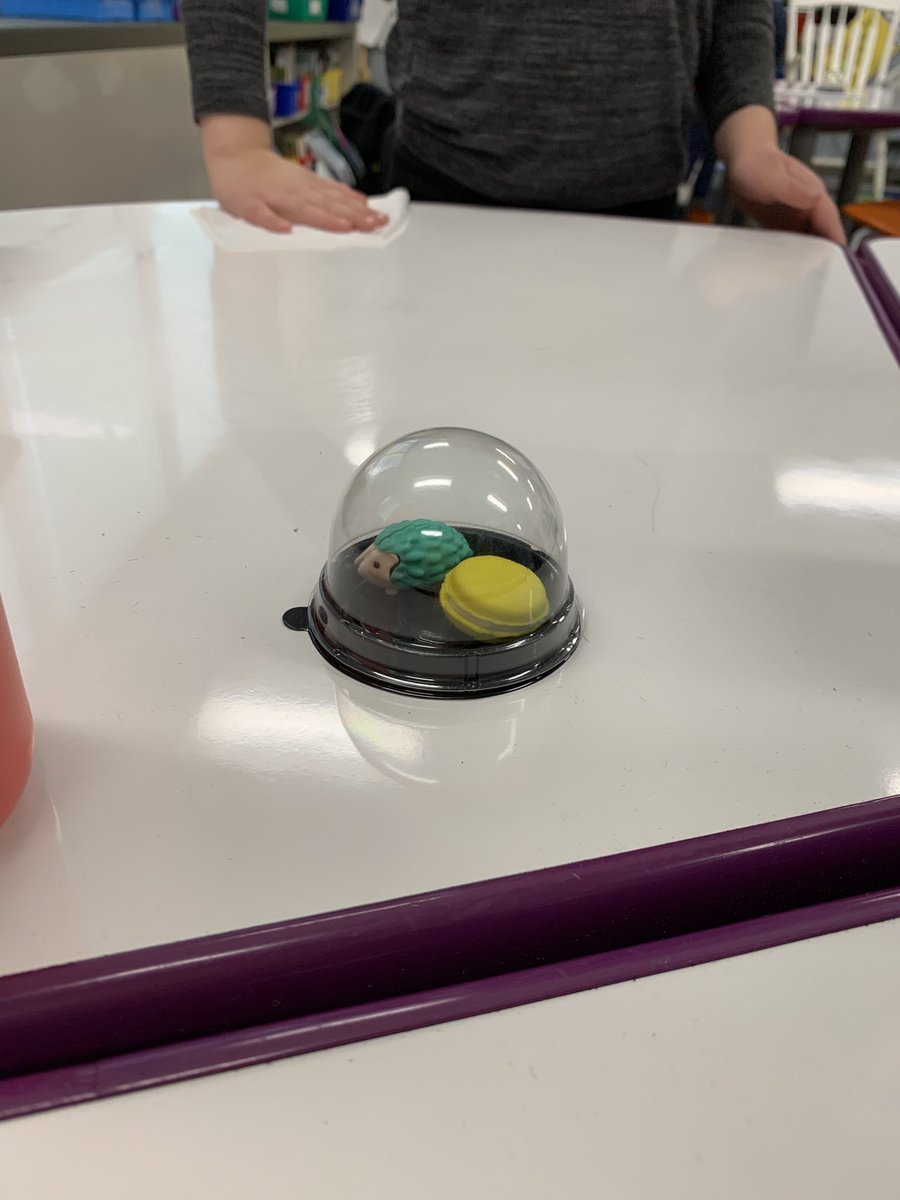 So many desk pets got new, loving homes today! <a href="/christianson_ms/">Sue Christianson</a> #cherokeeinspires