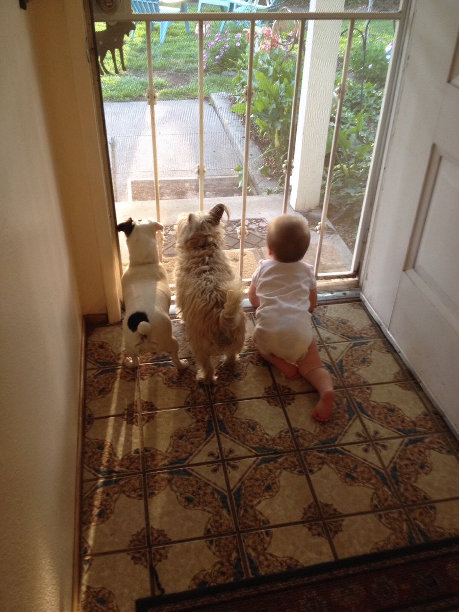 myhellmichele's tweet photo. Sharing a photo of my pet for the #AwardPoolPets Challenge! Share your pets, support causes that help animals thrive, and grab some cute NFTs. @awardpool
https://t.co/zcFoaJNWBP https://t.co/HYFDqvx7P9