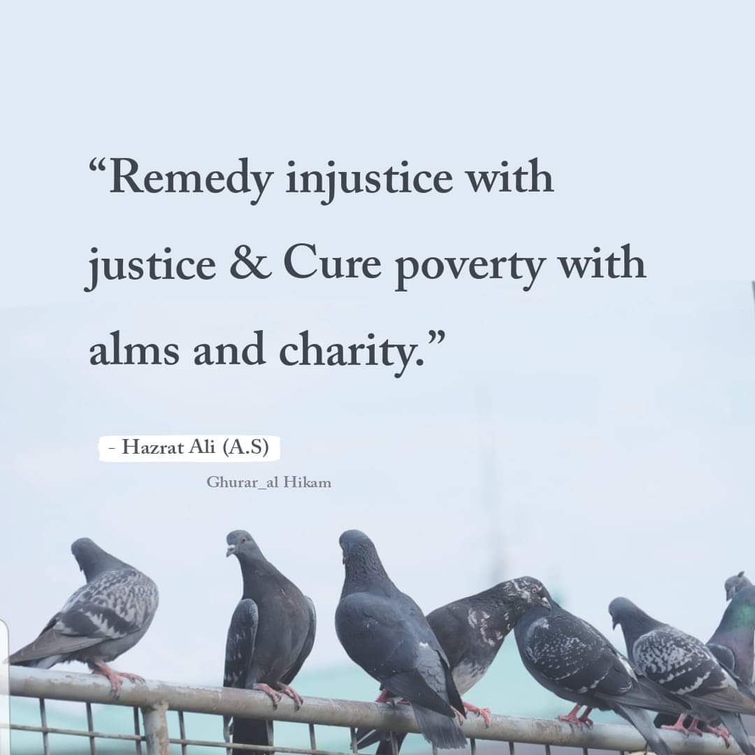 law_haider's tweet photo. https://t.co/842E2Ah2yX