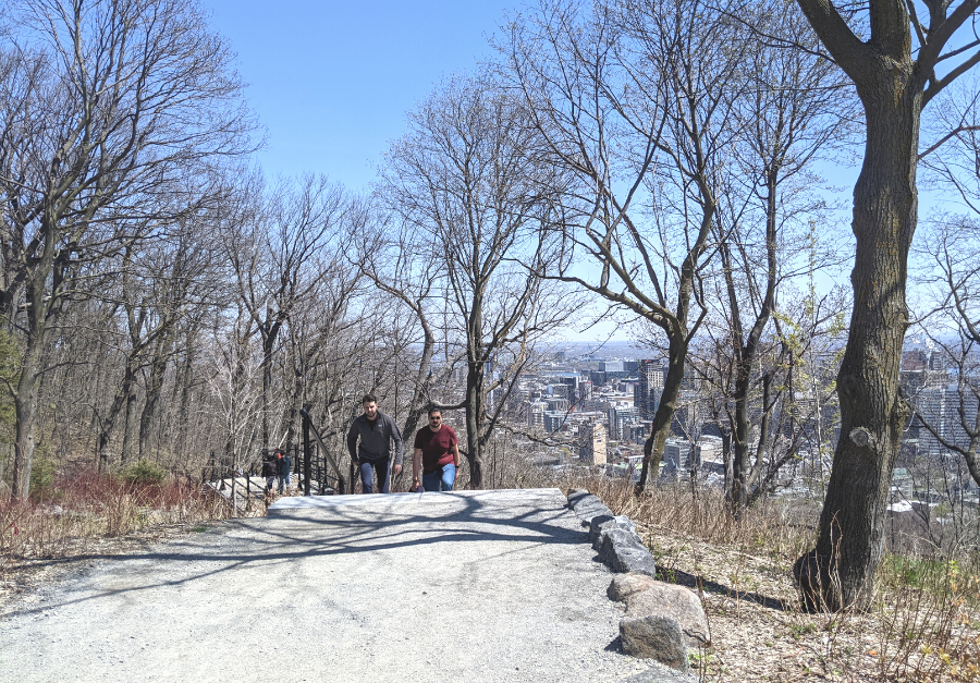 DeGrandpreChait's tweet photo. As part of National Mental Health Week, members of the firm engaged in activities designed to encourage discussion and to #GetReal. Taking a break from the daily routine and soaking up the sun, a group of walkers ventured up to the Kondiaronk lookout on Mount Royal.👇 https://t.co/r2HQYClxyF