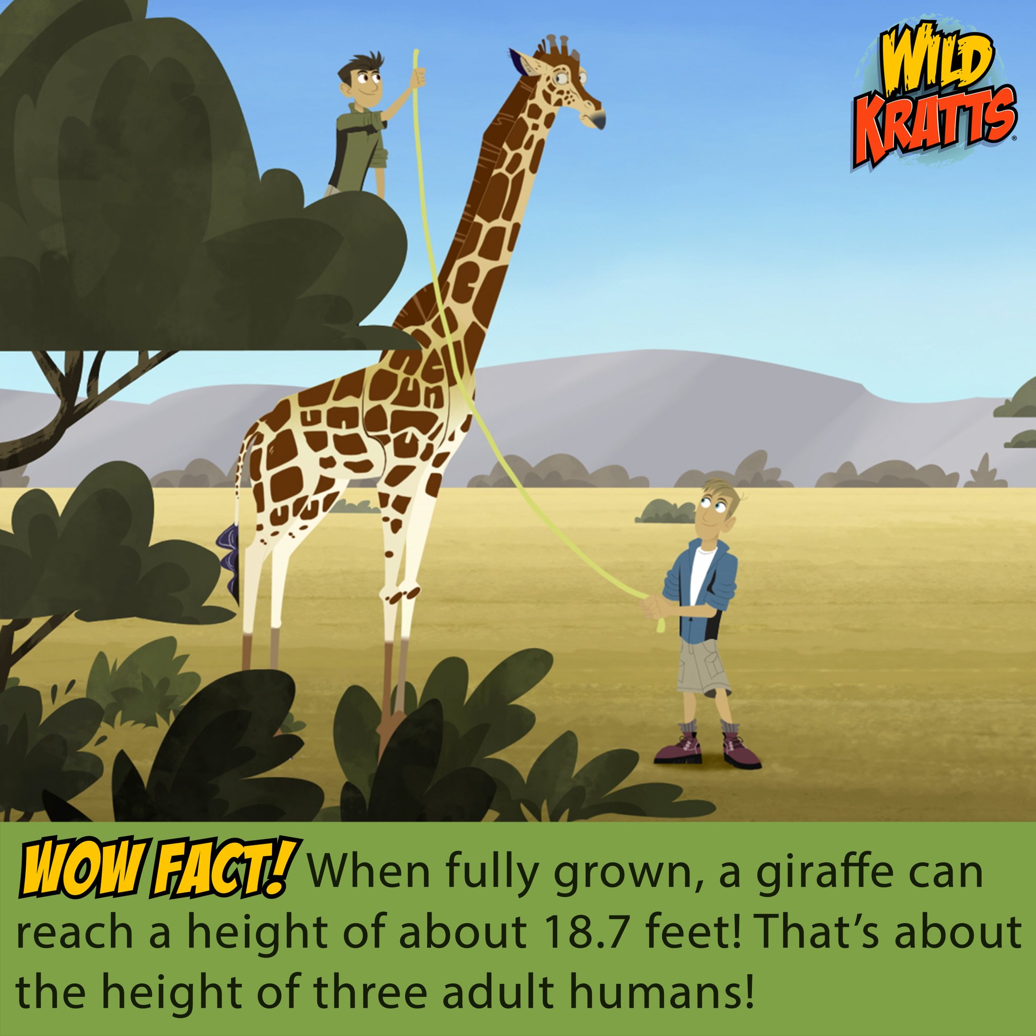 Wild Kratts on Twitter: "Introducing the TALLEST land mammal in the