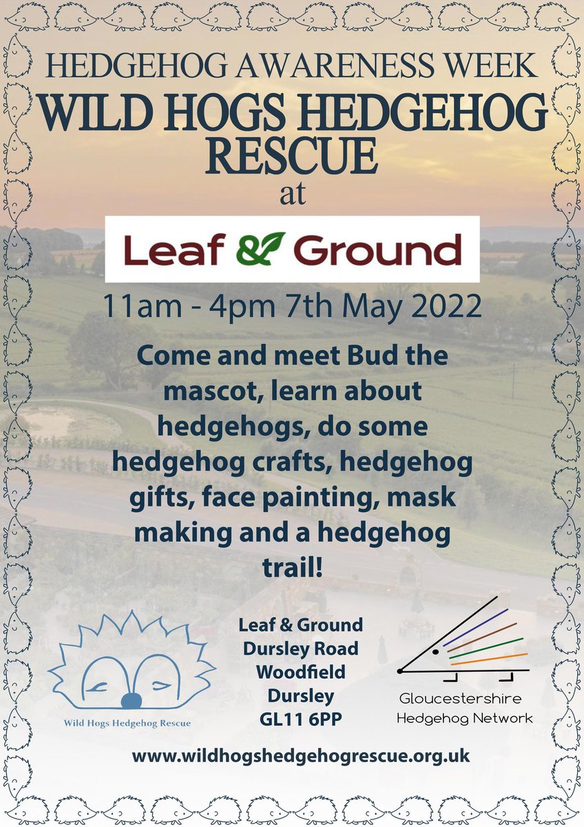 Wild Hogs Hedgehogs Rescue tweet media