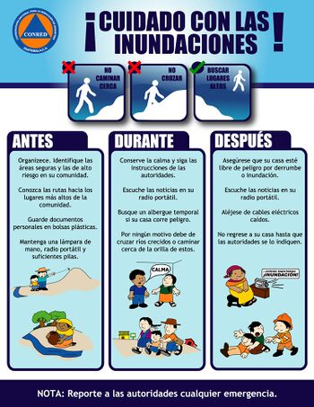 IdrovoAlejandra's tweet photo. https://t.co/bvabmoH9ag