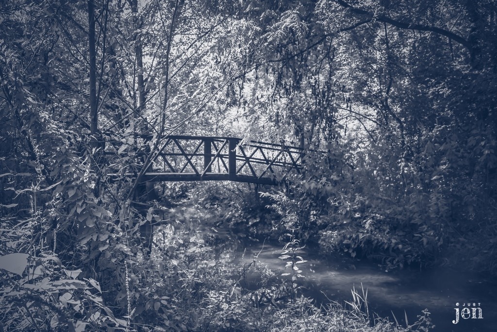 Jen_Beaul's tweet image. “Men build too many walls and not enough bridges.”
– Joseph Fort Newton.
#jenjustshoots #treedesign #naturephotography #naturelover #visualart #art #artistoftheday #outdoors #walk #tree #soft #meditate #selfcare #bridge #beautifulday #exercise #creek #blackandwhite #moody #quotes