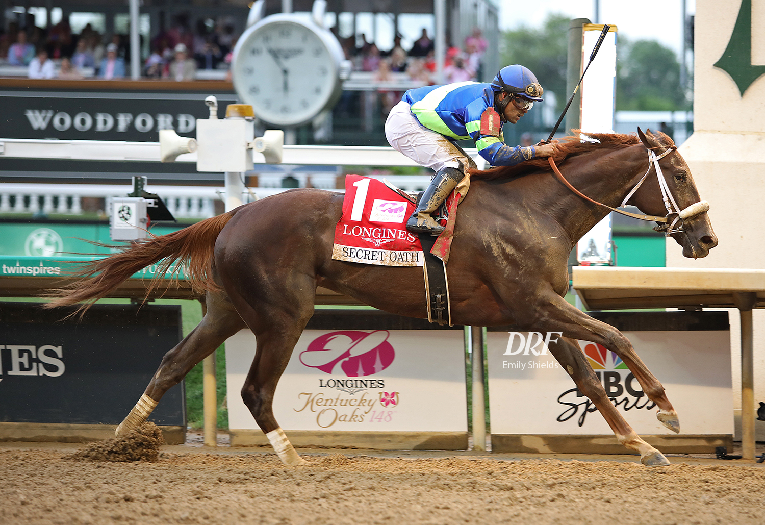 Daily Racing Form on Twitter: