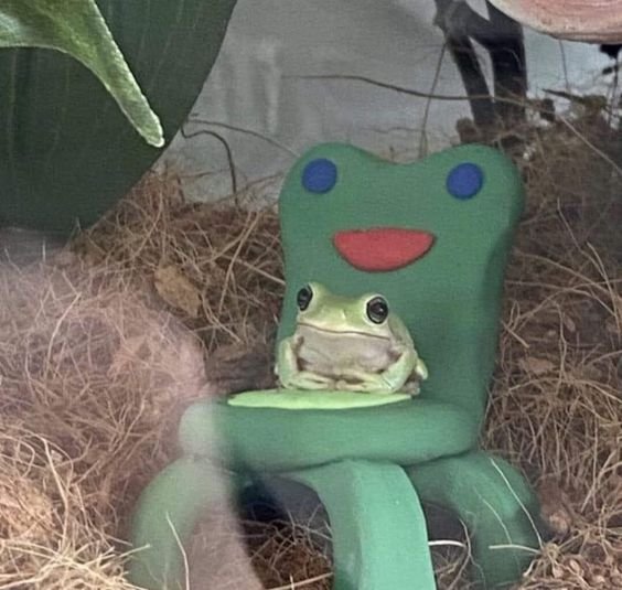 Daily_Alastor's tweet photo. Oh shit we reached 3K followers, dam. The milestone reward is another frog https://t.co/FbgGCLdm3B
