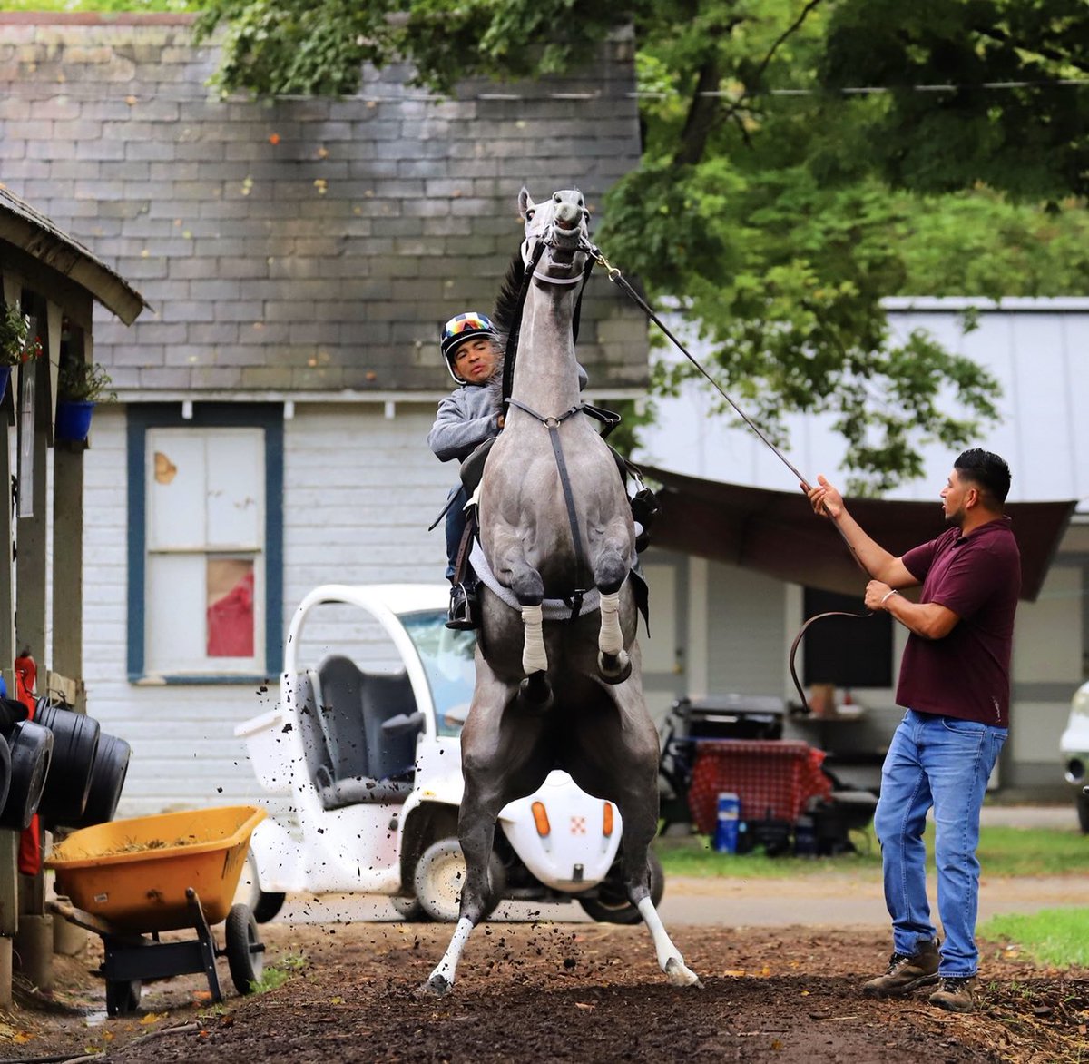 Sharing my favorite photo of Pretty Birdie. Someone pointed out that the golf cart makes her look like she’s riding a motorcycle and I haven’t stopped giggling yet