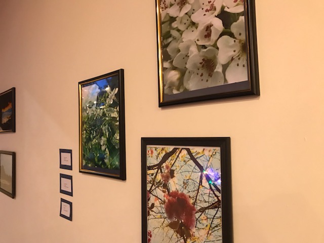 Boston GLASS tweet media