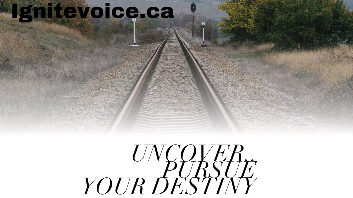 ignite_voice's tweet photo. Control your own #Destiny.           Happy Friday! 😇                           
#IgniteVoice 
#CreateConnection
#AuthenticVoice
#StarChaser
#OxygenIsConnection
#IgniteTheFire https://t.co/0nBLxMZWAM