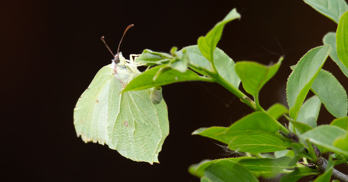 Simon Waters tweet media