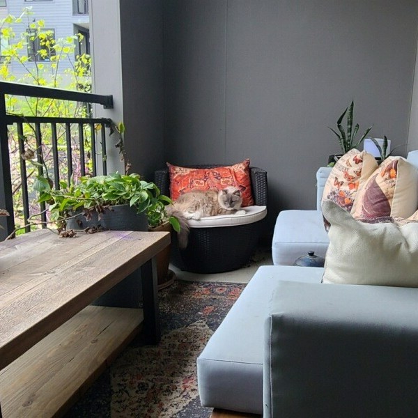 ChromaSTL tweet media