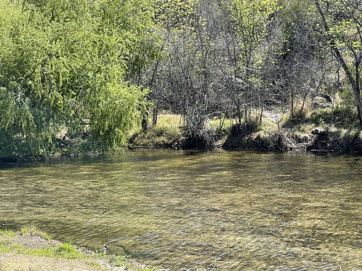 tbreadnwater's tweet photo. Seeking an oasis in the desert?  Check out Sabino Dam! I went with @onlybobjustbob to produce a story for @azIllustrated on @azpublicmedia which airs this Sunday 5/8 at 6:30 pm.  Wonderful images and words. https://t.co/fhZ4UMysSo