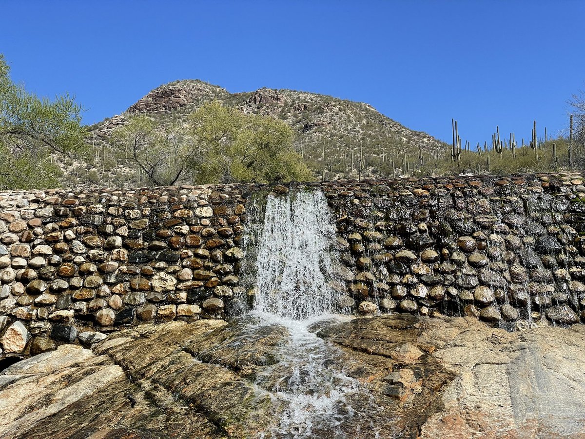 tbreadnwater's tweet photo. Seeking an oasis in the desert?  Check out Sabino Dam! I went with @onlybobjustbob to produce a story for @azIllustrated on @azpublicmedia which airs this Sunday 5/8 at 6:30 pm.  Wonderful images and words. https://t.co/fhZ4UMysSo