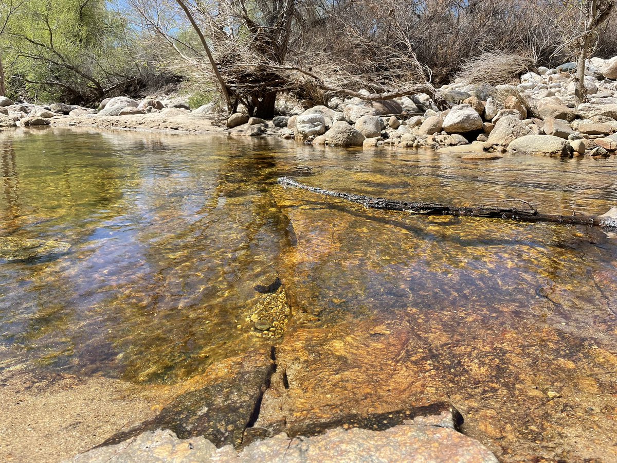 Seeking an oasis in the desert?  Check out Sabino Dam! I went with <a href="/onlybobjustbob/">Robert Lindberg</a> to produce a story for <a href="/azIllustrated/">Arizona Illustrated</a> on <a href="/azpublicmedia/">AZPM</a> which airs this Sunday 5/8 at 6:30 pm.  Wonderful images and words.