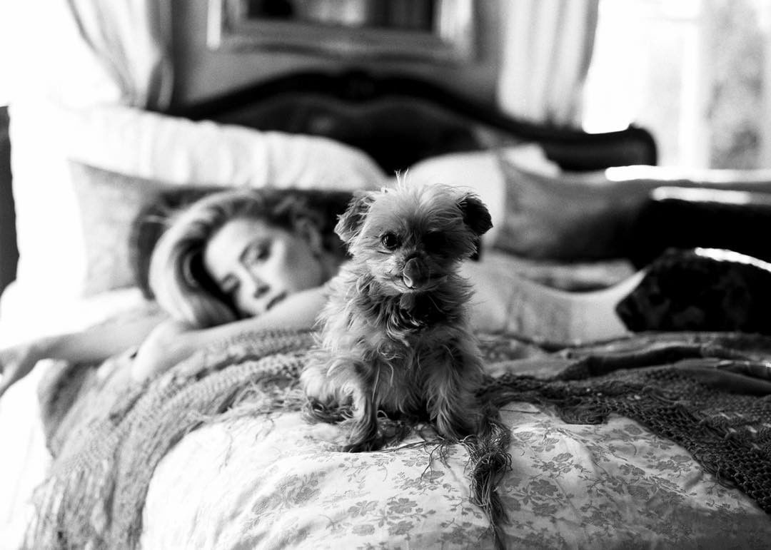 roaringrapids22's tweet photo. Amber Heard claims to have PTSD, to be so traumatized by the severe abuse she endured, that she suffers from anxiety, hypersensitivity, insomnia, etc., yet nearly 6 years after the divorce, still sleeps in the marital bed she shared with her alleged abuser??? She is a LIAR! https://t.co/7mU6IpKCbL