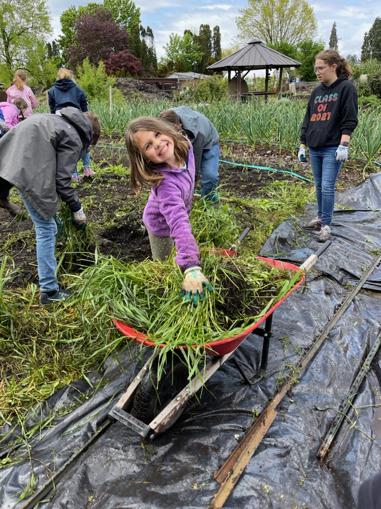 SaintPaul60's tweet photo. Our 3rd and 7th grade classes made it to the GrassRoots Garden today. It’s so good to have field trips back in action! Thanks for having us @FoodforLaneCounty! https://t.co/klyYAPuuzf
