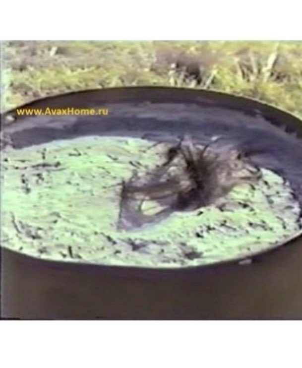 badguysgoodbeer's tweet photo. Ep 40- The Imprisonment of Junko Furuta
1• Junko Furuta
2• Hiroshi, Yasushi, Jo and Shinji
3• the 55 gallon drum
4• the Minato residence where Junko spent 44 days being held captive
#badguysandgoodbeer #truecrimepodcast #murder #kidnapped #heldcaptive #junkofuruta #japan https://t.co/qtxt1ZMpqR