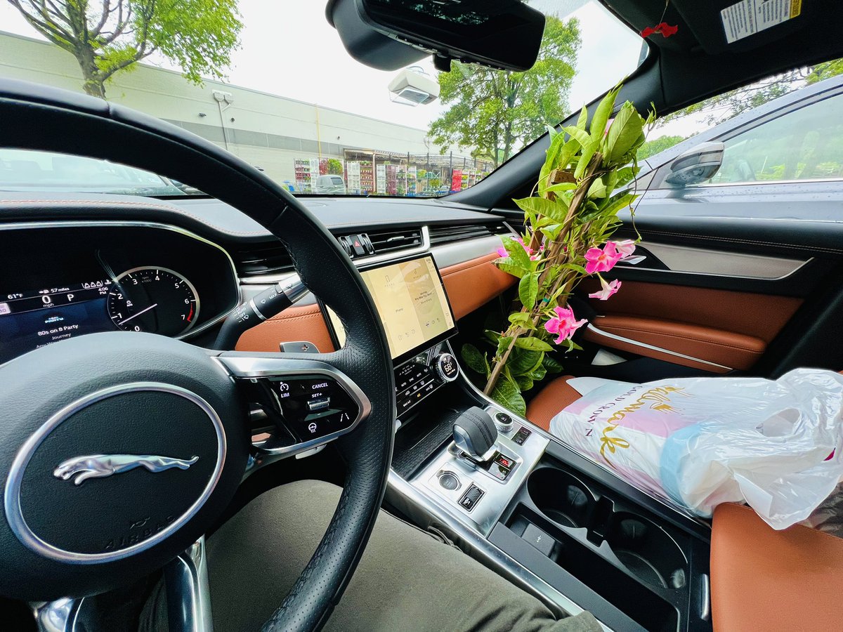 Tara Setmayer 🌻 🇺🇸 tweet media