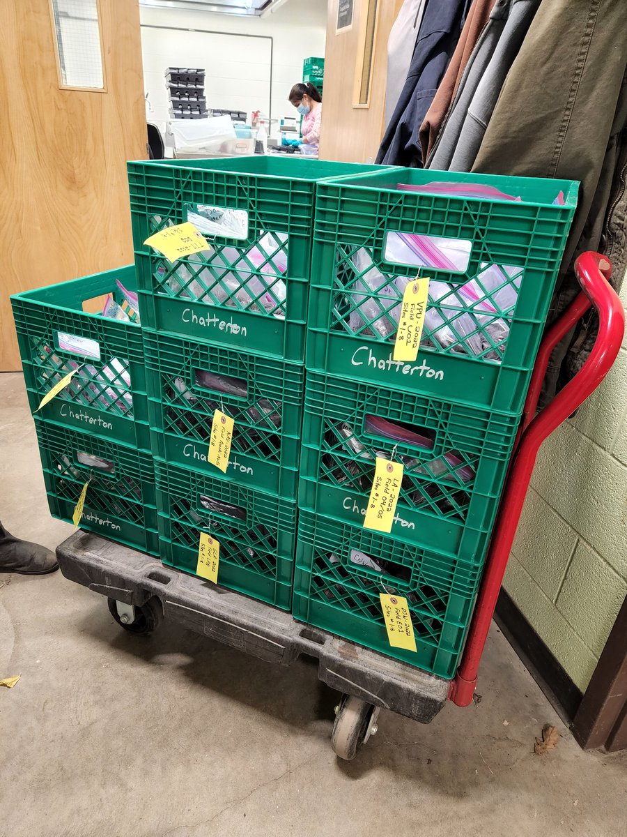 syamachat's tweet photo. It has begun! First batch of soil samples, of the expected 2000+, for the 2022 research season. Soil samples are used for quantifying soil borne pathogens, relation to pea root rot levels at flowering, and microbiome characterization for biocontrol discovery. #soilsampling22 https://t.co/bNAIbEDSN8
