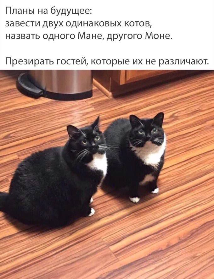 iesekiel's tweet photo. Бля, идея же https://t.co/w7iaoXgbwn