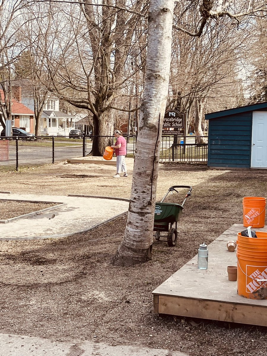 Dedicated Kinder Team putting grass seed on the playground on a Friday afternoon! #teamwork #bpsproud <a href="/BracebridgePS/">Bracebridge PS</a>