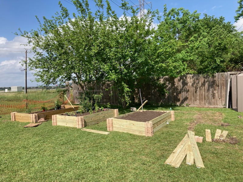 McfallTetsuo's tweet photo. Our school garden @HPSArt is really shaping up! Plus our latest #DonorsChoose project is just a few donors away from being funded! https://t.co/1S5xH8ISo5 #HealthyKids #TeacherAppreciationWeek2022 https://t.co/2dNCH6ABRZ