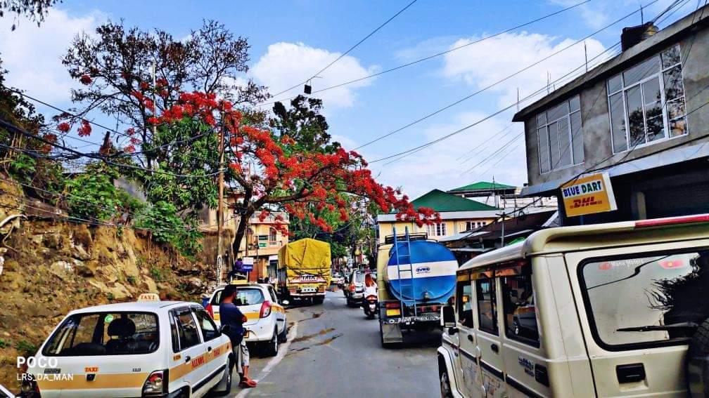 mizoraminsta's tweet photo. Ṭhuampui veng, Aizawl, Mizoram
.
.
Pic credit 📷 @lrs_da_man
.
.
.
#thuampui #thuampuiveng #aizawl #mizoram #mizoraminsta #northeastIndia #aprilpar #mayflower #flower #gulmohar #taxi #road #kawngpui https://t.co/FS1CtIwiQ8