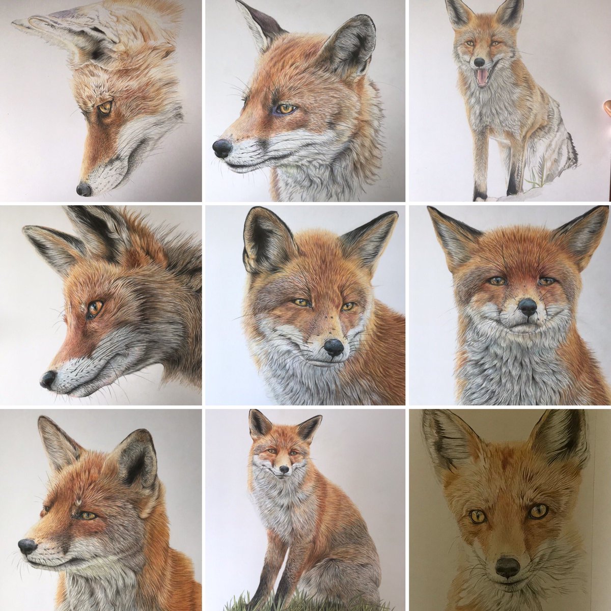 studio22artz's tweet photo. Been drawing a lot of foxes this year. Still got to finish some yet, but didn’t realise I’d done quite so many. #art #fox #drawing https://t.co/uBVRKEQhZc