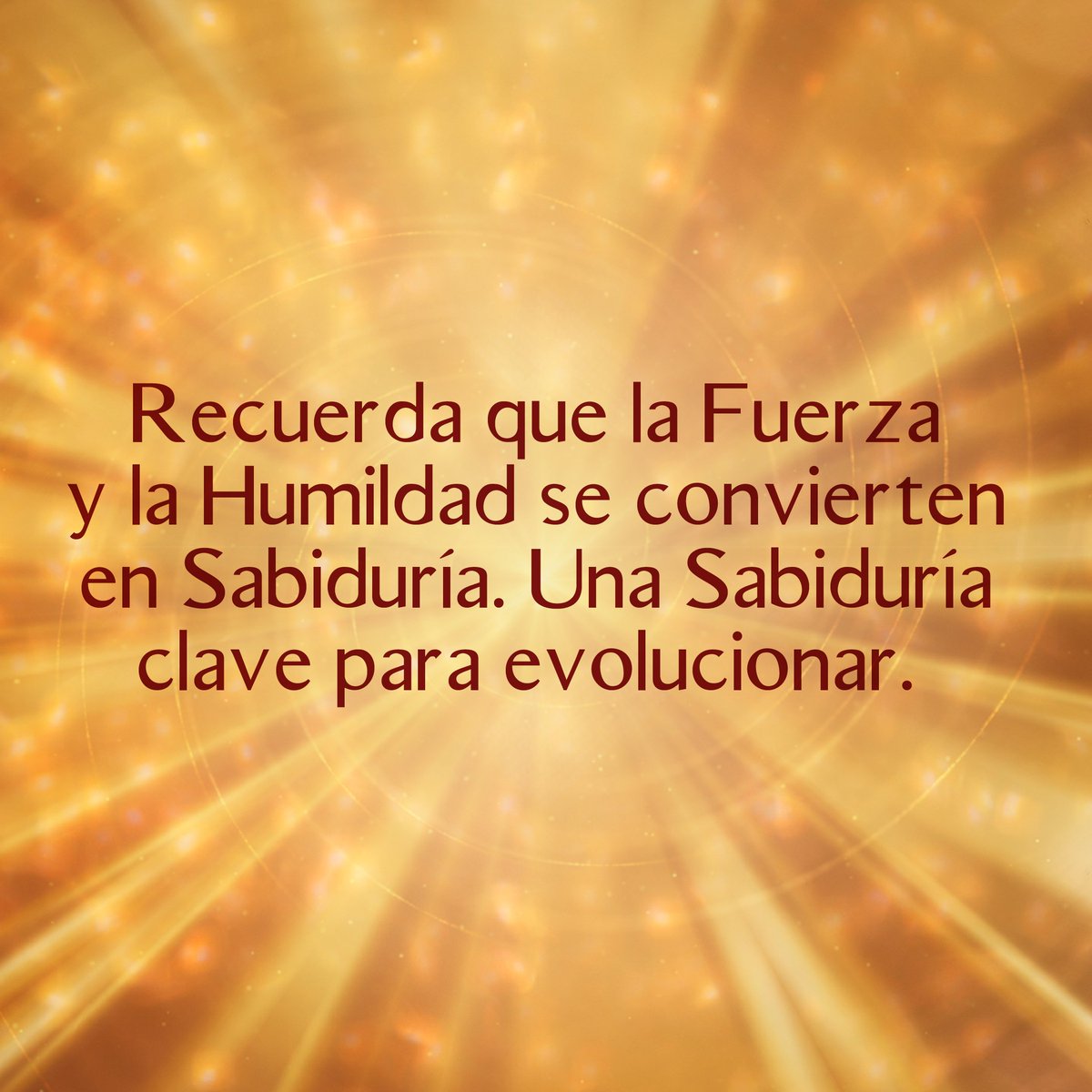 everistides9's tweet photo. https://t.co/Ohxqreca0s