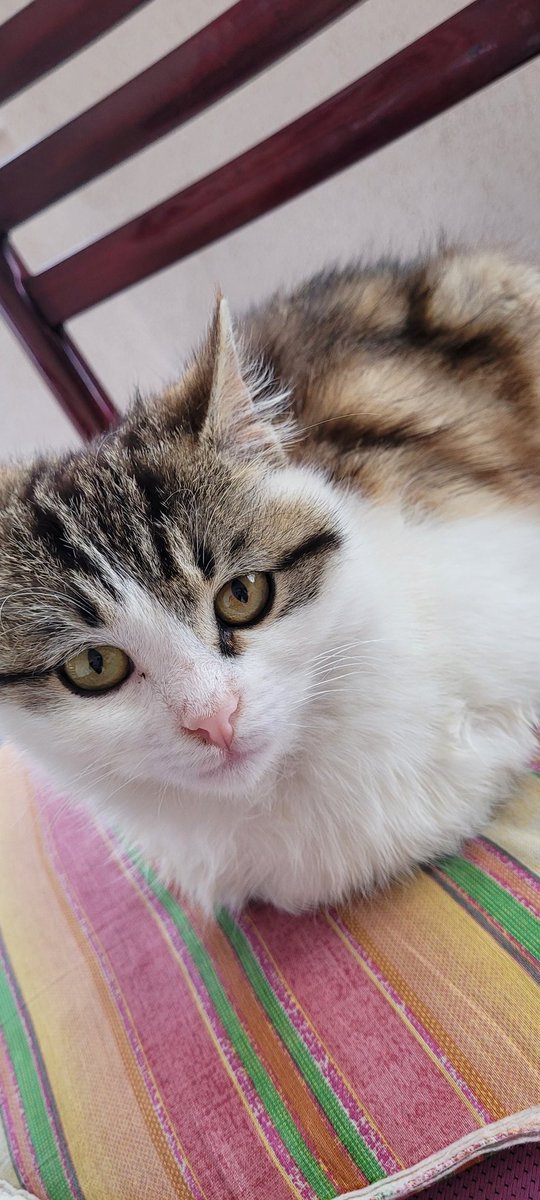 Ben bir İsmail miyim?
Ben bir hiç miyim?