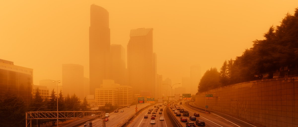 CDC Environment tweet media