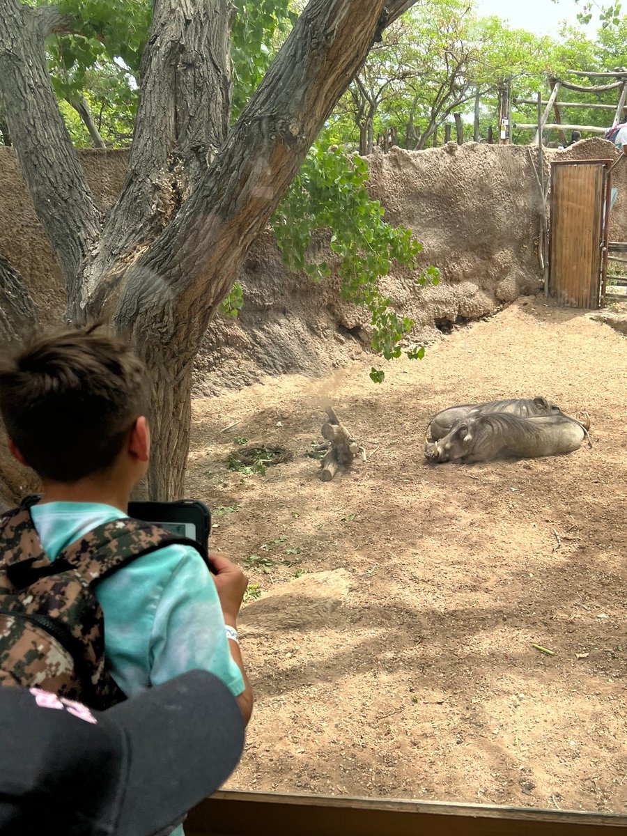 2nd grade took their learning mobile with iPad at <a href="/abqbiopark/">ABQ BioPark</a>. We got to explore different habitats and the animals and plants that call those places home. Thank you Lauren, <a href="/rosenewmex/">Rose Trujillo</a> and <a href="/tearagon7/">Tamara Aragon</a> 

@LLS_EdTech <a href="/LLS_SPSV/">LLS Special Services</a> <a href="/LL_Schools/">LLSchools</a> <a href="/AppleEDU/">Apple Education</a> #iPad