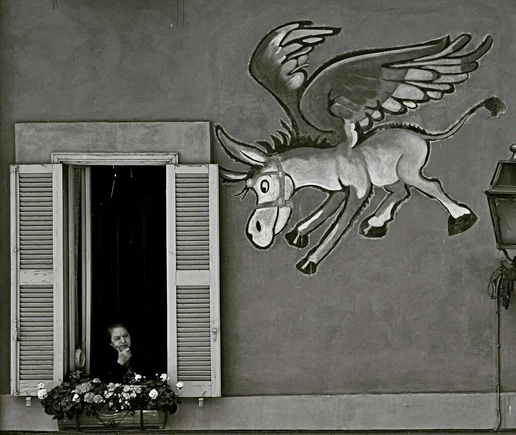 nmacabales's tweet photo. #throwback #may2010

"We take pictures because we can't accept that everything passes, we can't accept that the repetition of a moment is an impossibility."

- Michelle Richmond

#rome #blackandwhite #streetphotography #ludwig https://t.co/eEOlFt5dKZ https://t.co/L6sP5pfIDg