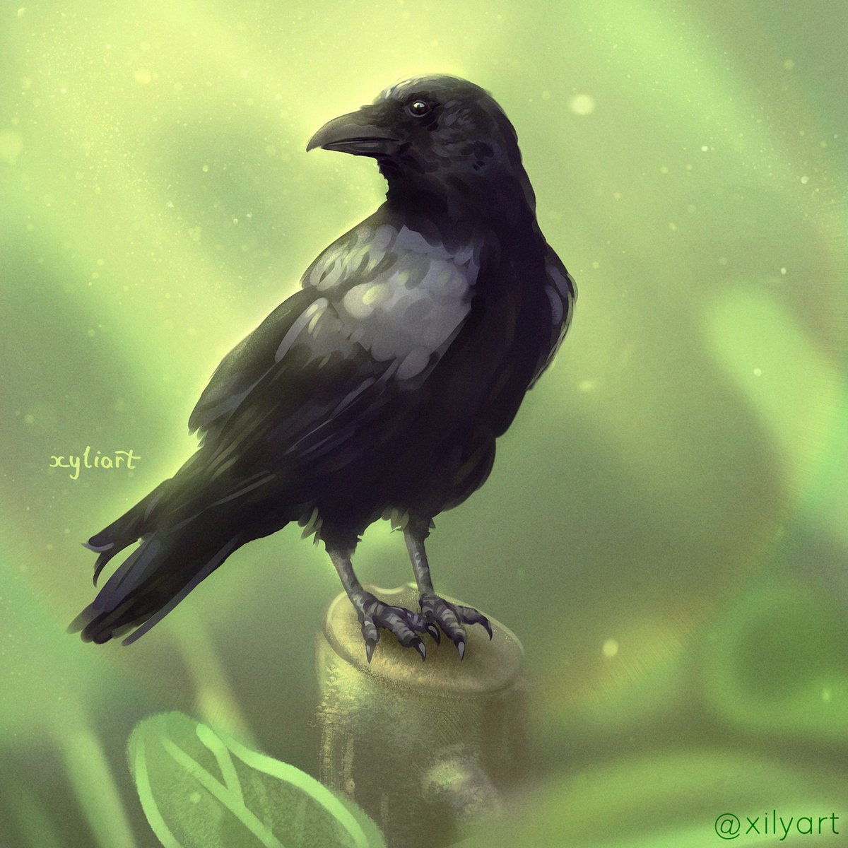 xilyart's tweet photo. ‼️EMERGENCY COMMISSIONS‼️
I know I've been inactive here,
but I got an emergency rn and I need money asap for my bf's lymphoma treatment.
If you or your friends/family needs anything drawn - portraits, pets, fanart, OC, backgrounds, designs - pls let me know! 
please rt this https://t.co/xJRH1KaDgg