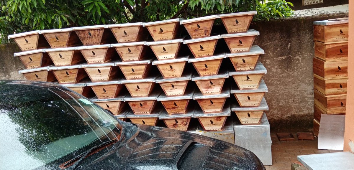 Quality modern bee hives