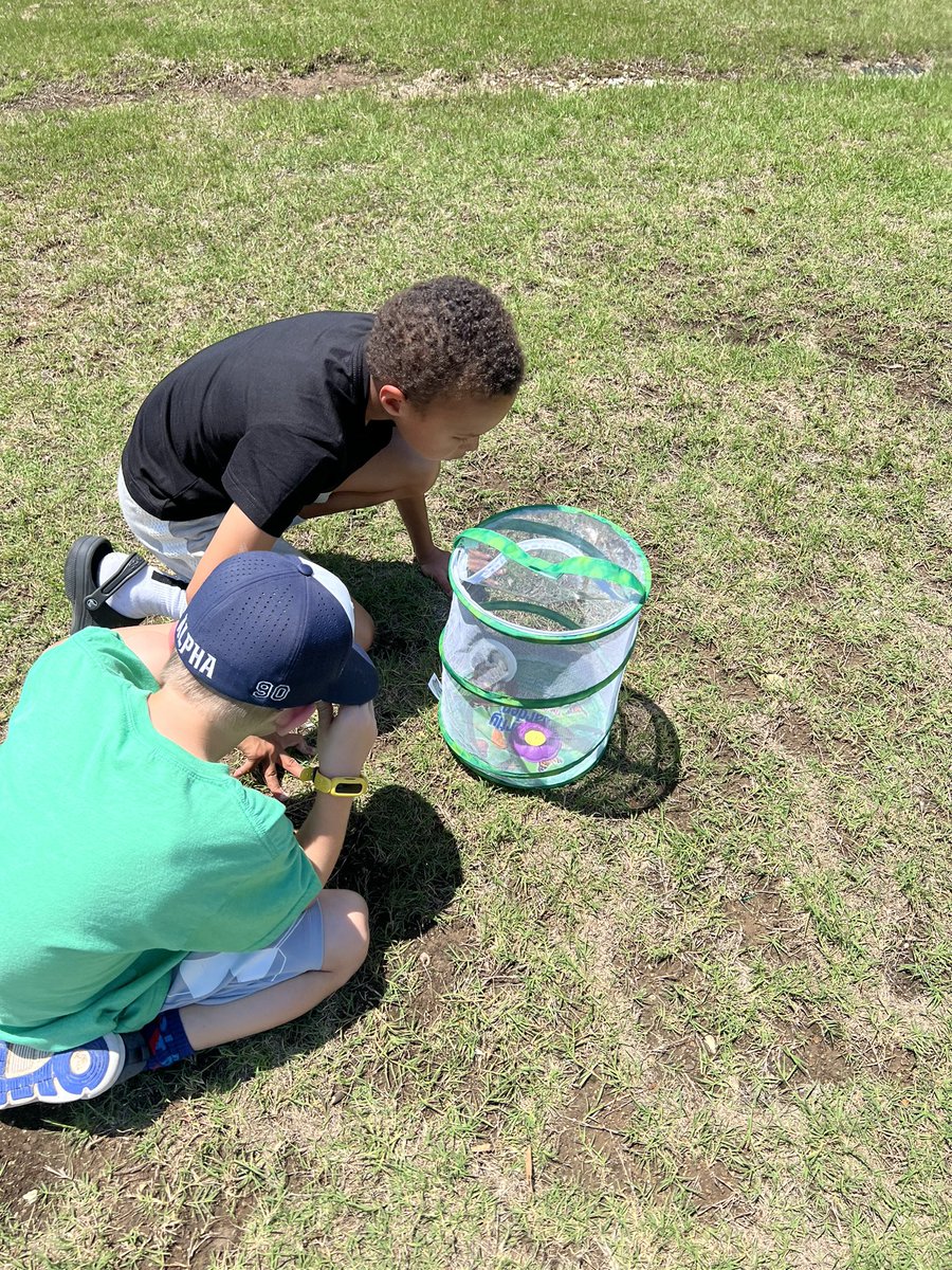 Maddie Karesh tweet media